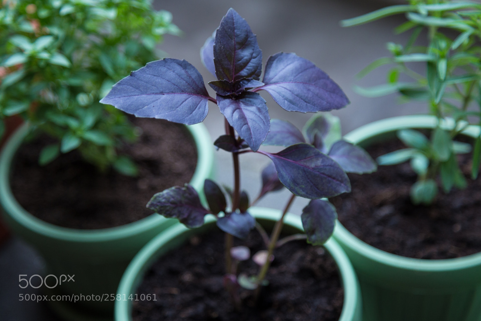 Canon EOS 6D sample photo. Untitled photography