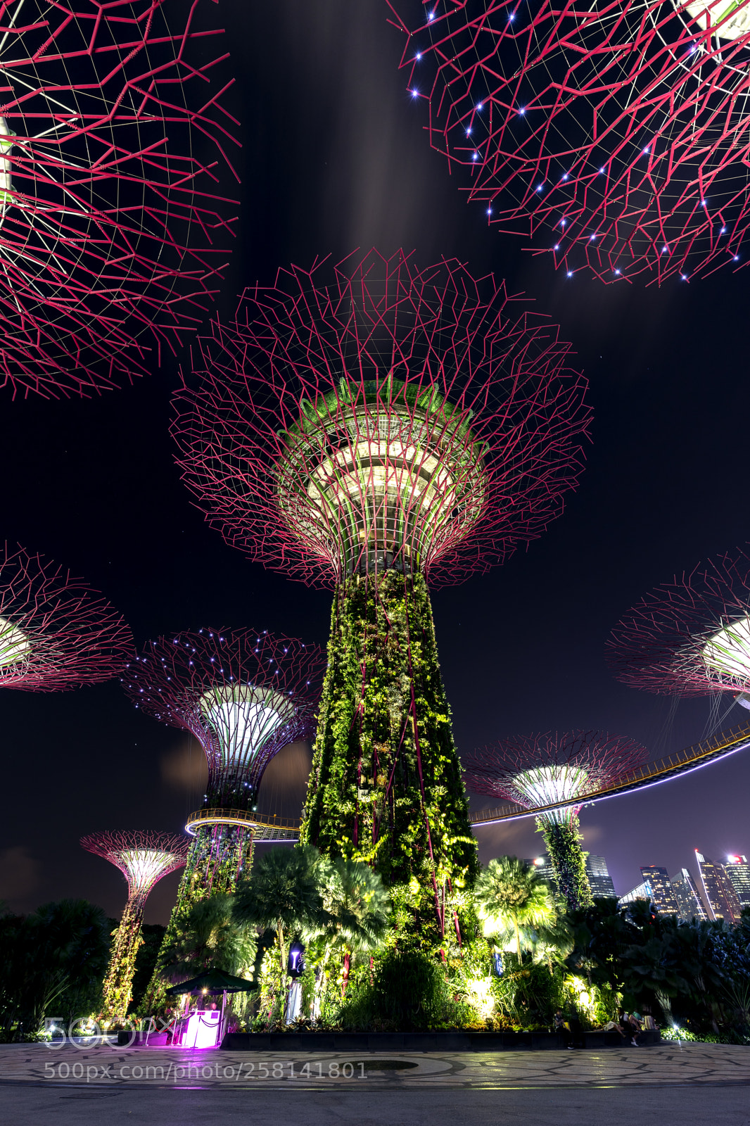 Canon EOS 6D Mark II sample photo. Supertree grove photography