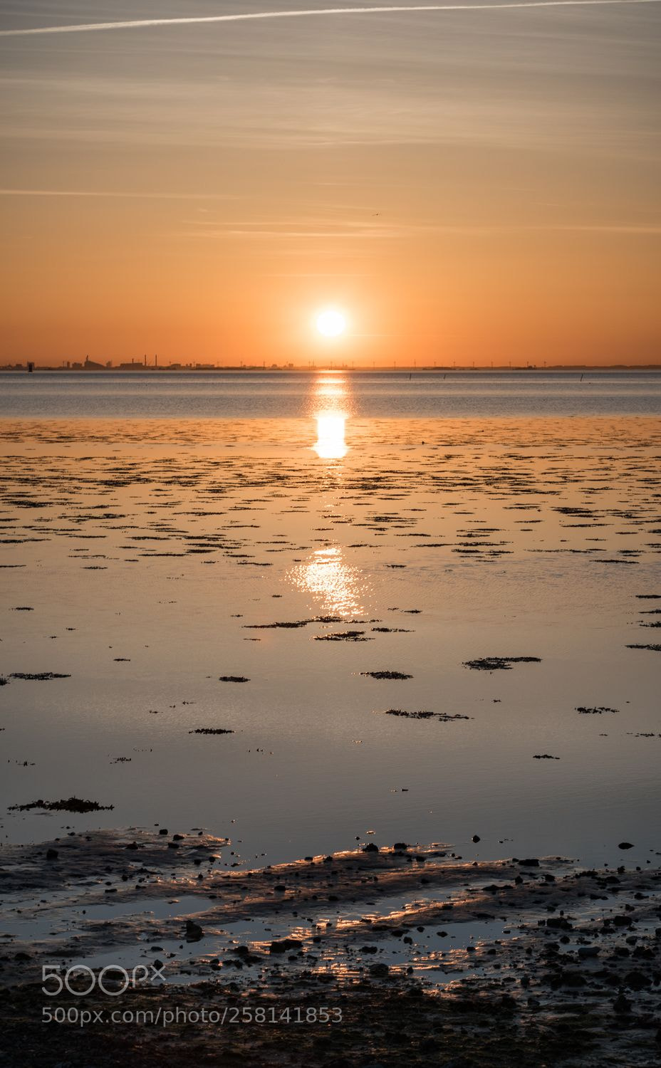 Nikon D5500 sample photo. That evening in malmo 02/05 photography