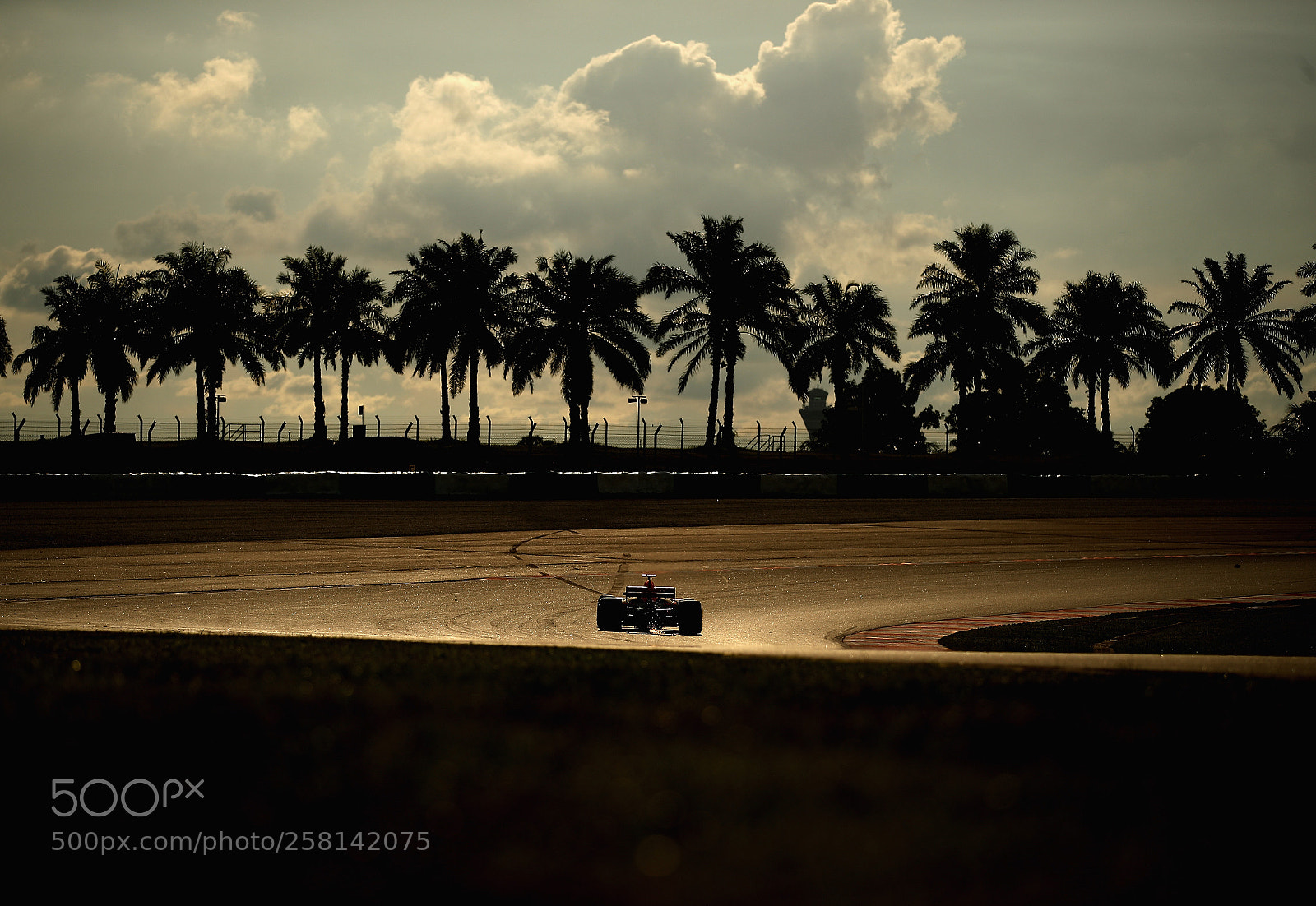 Canon EOS-1D X Mark II sample photo. Daniel ricciardo photography