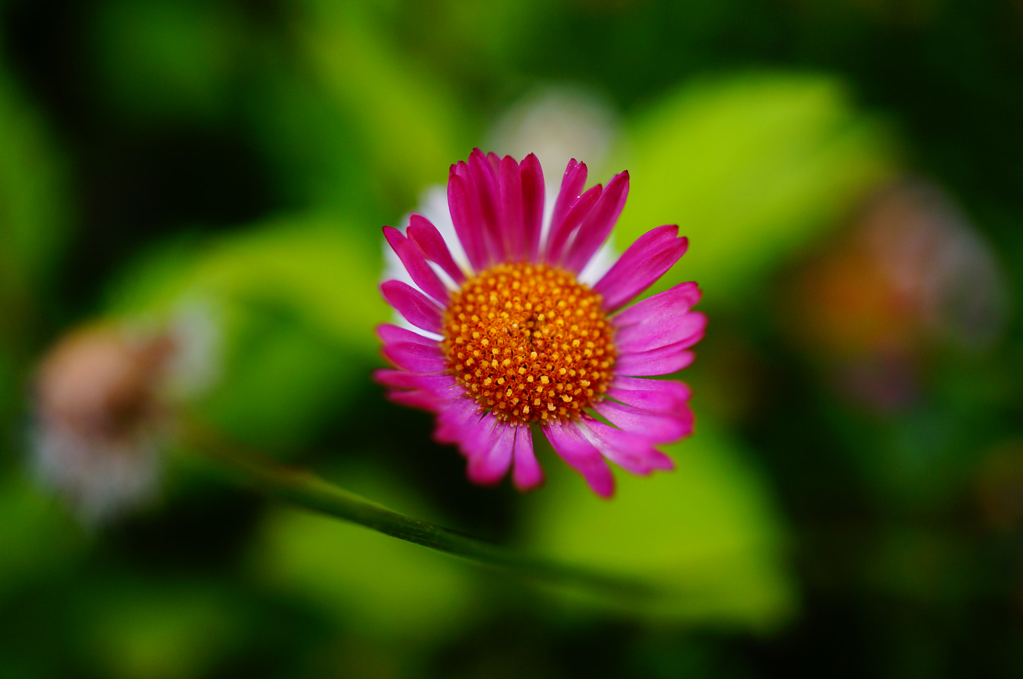 Sony Alpha NEX-5T sample photo. Just before dusk photography