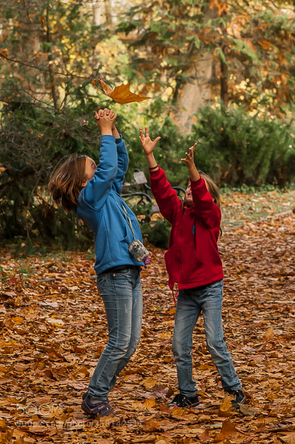 Nikon D300 sample photo. Falling leaves photography