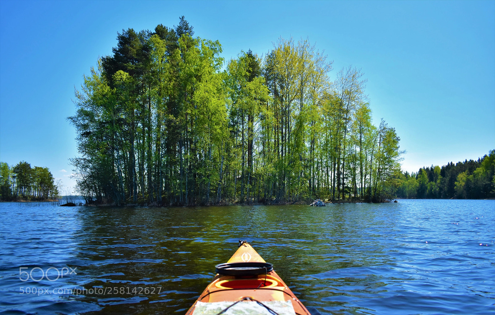 Nikon D5600 sample photo. Solitude on water photography