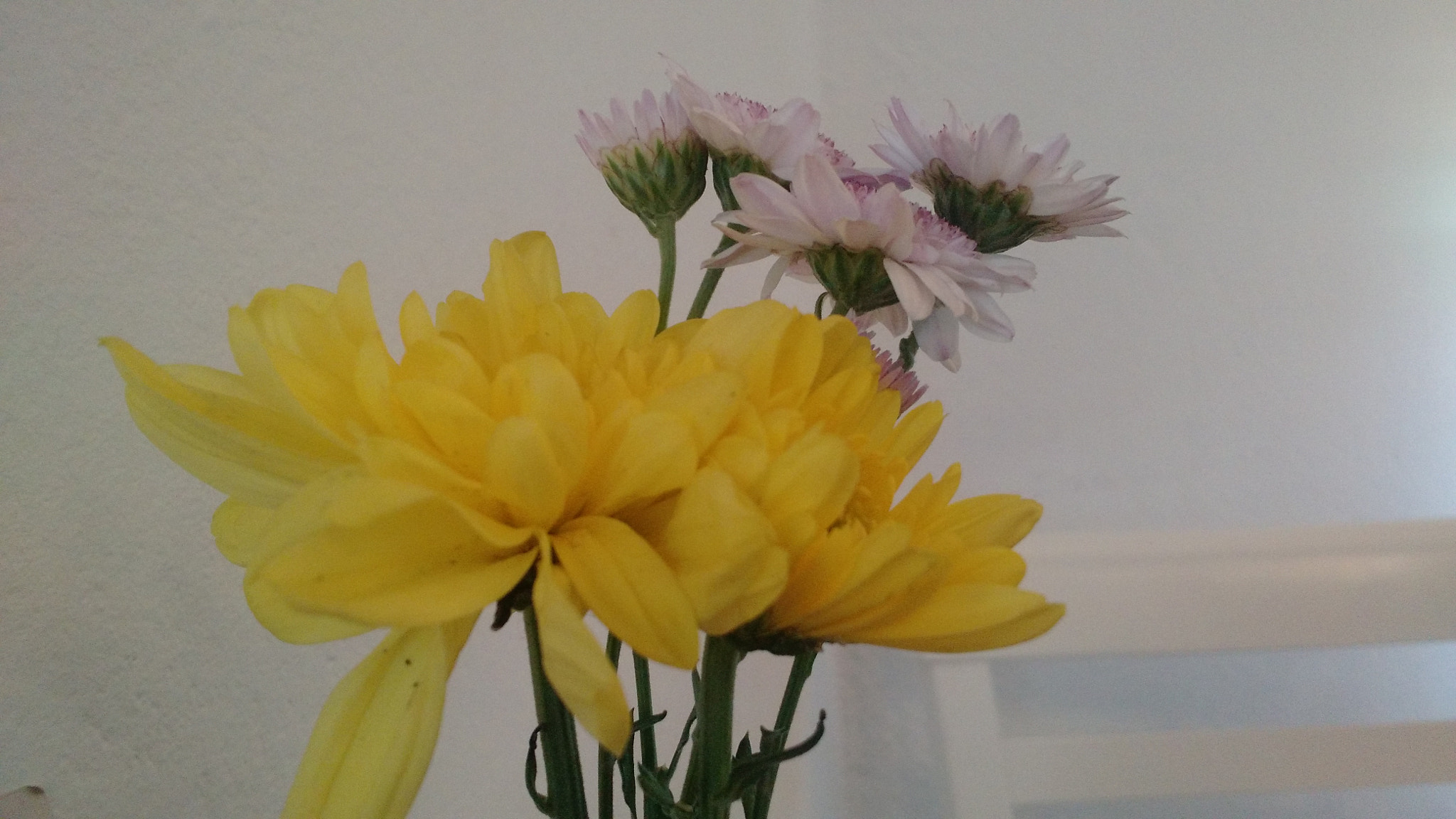 Motorola Moto X (2nd Gen) sample photo. Img_20180427_141743352.jpg photography