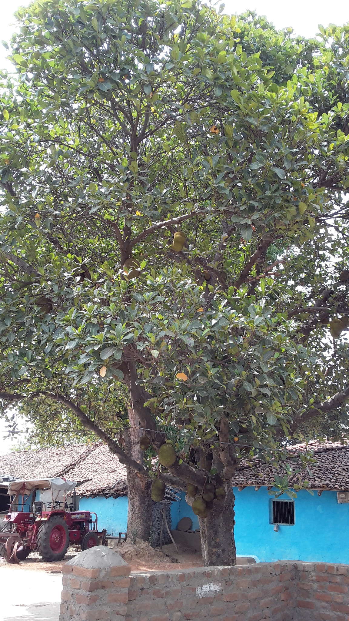 Samsung Galaxy On5 sample photo
