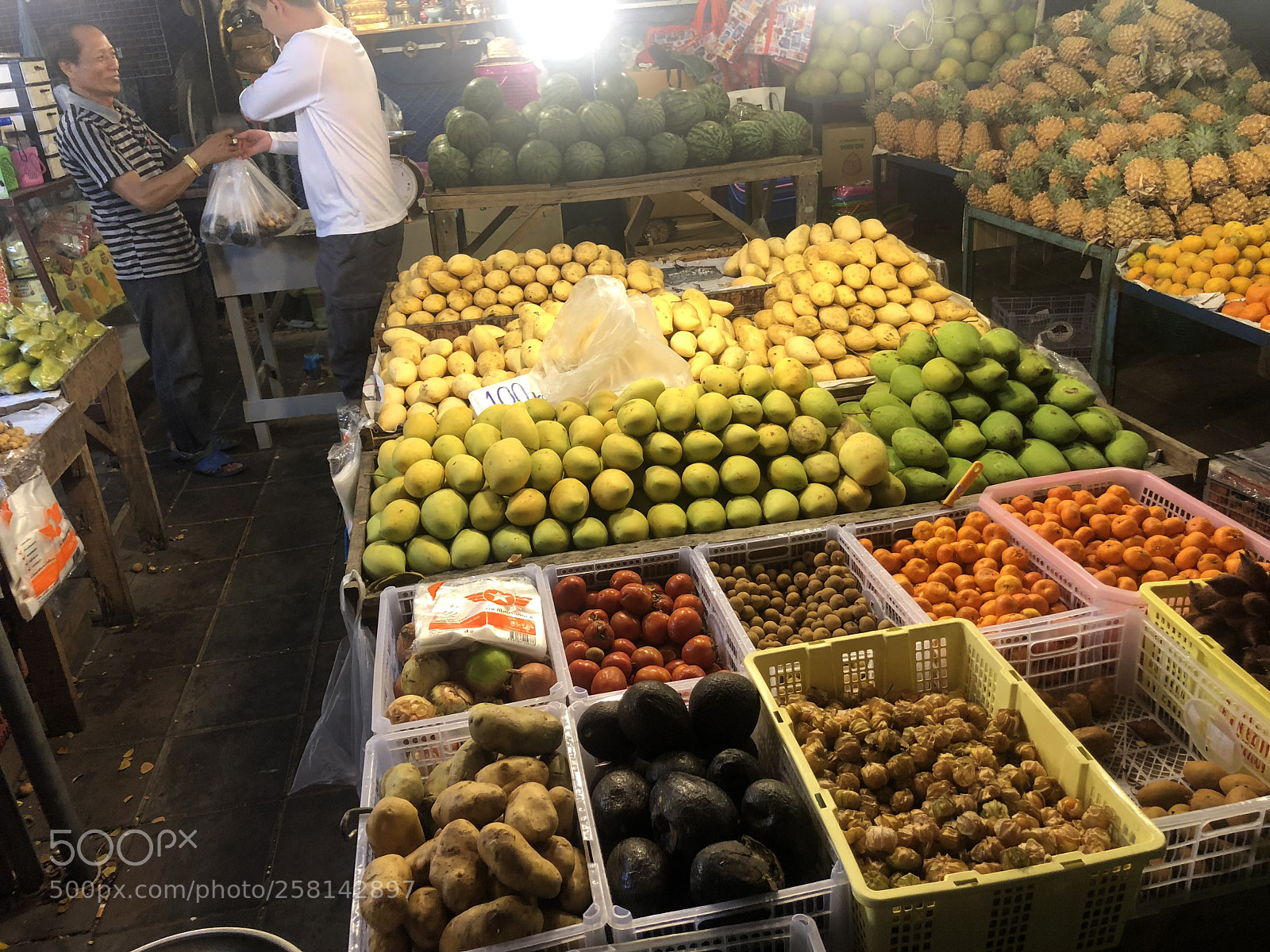 Apple iPhone 8 Plus sample photo. Untitled photography