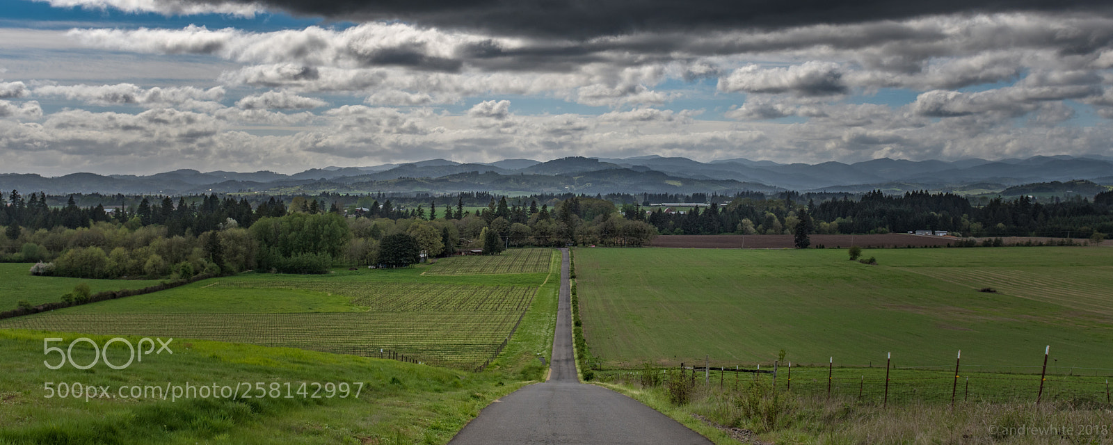 Nikon D850 sample photo. Willamette river valley photography