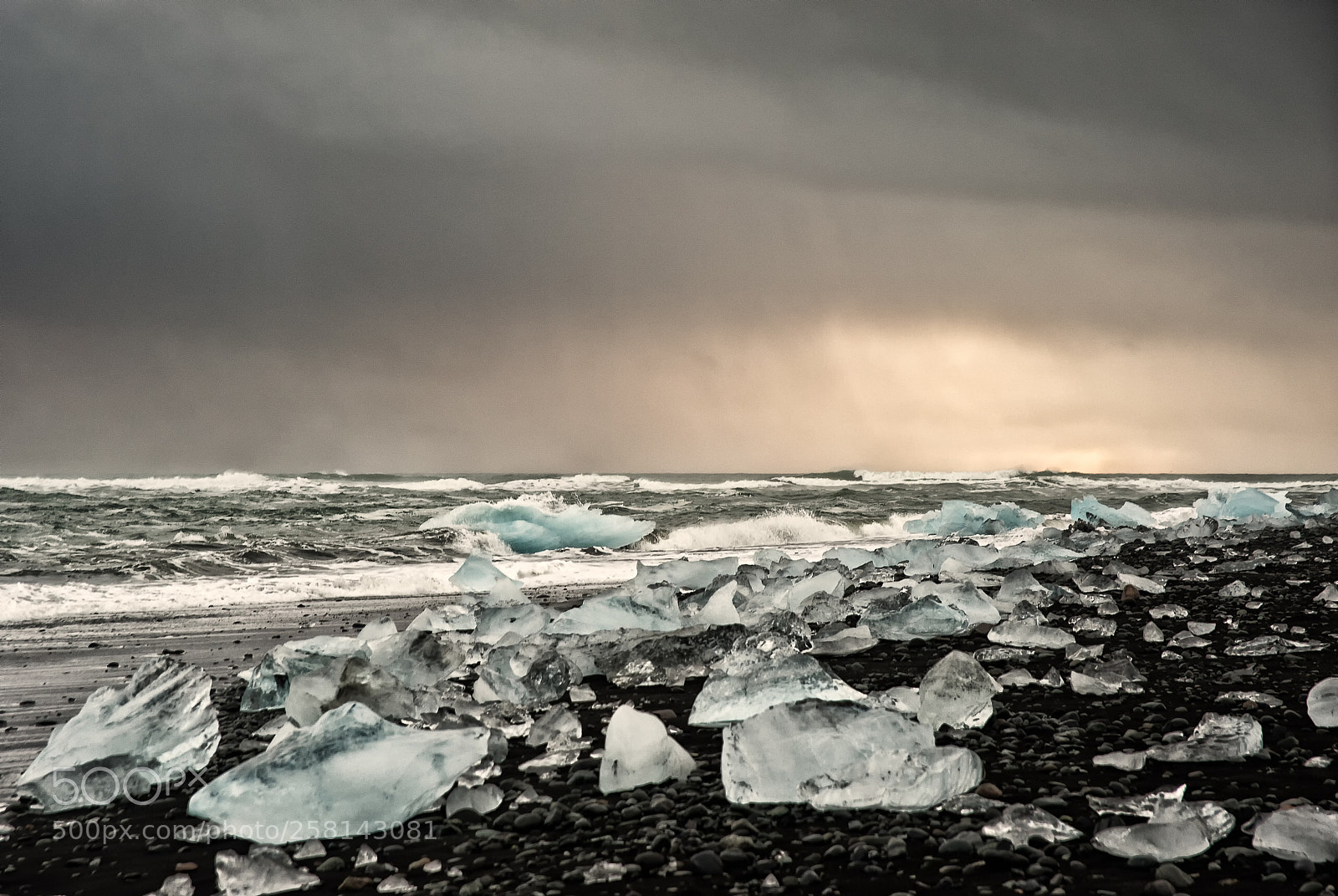 Nikon D700 sample photo. Ice ice beach photography