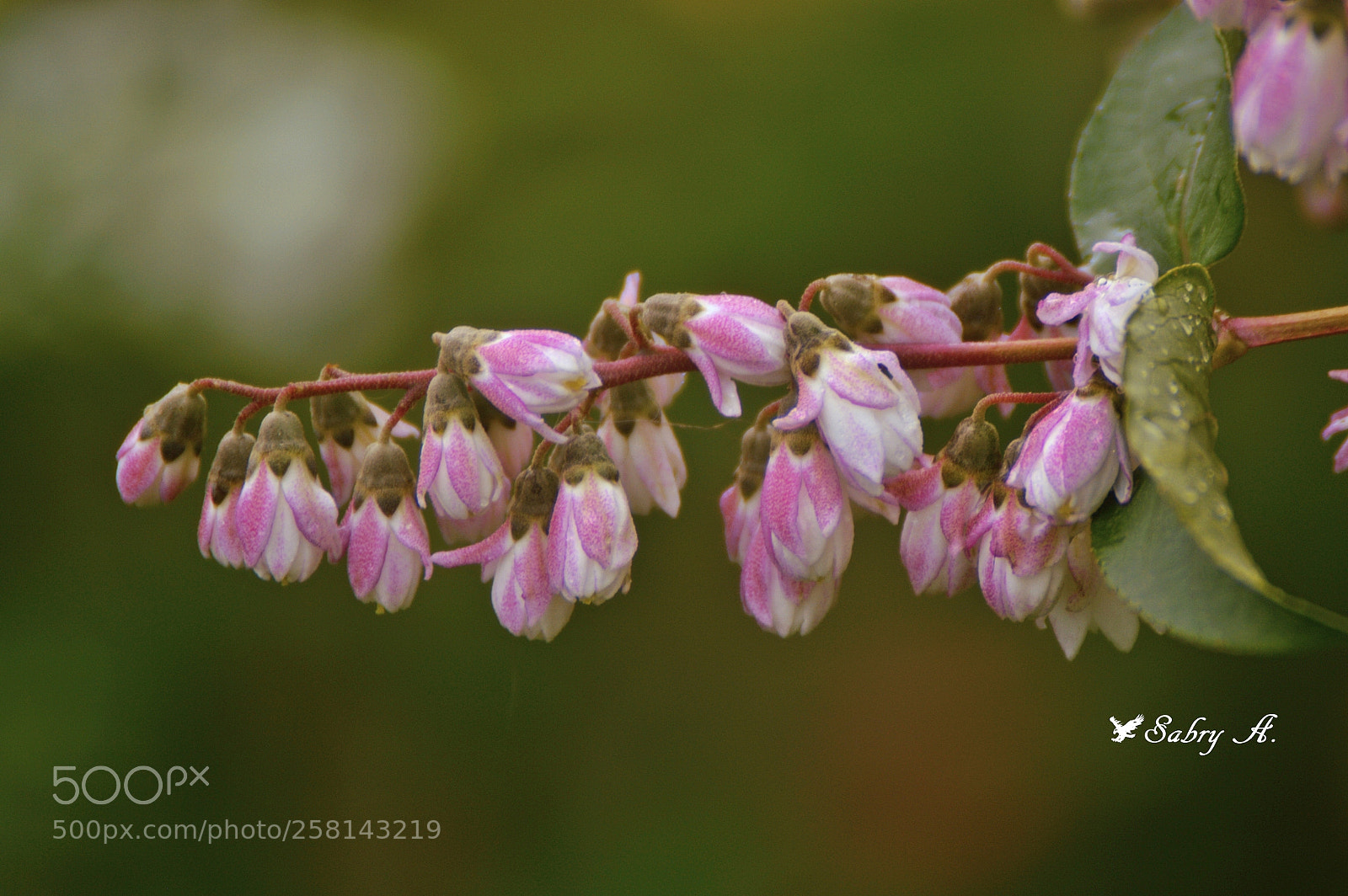 Nikon D3200 sample photo. Untitled photography