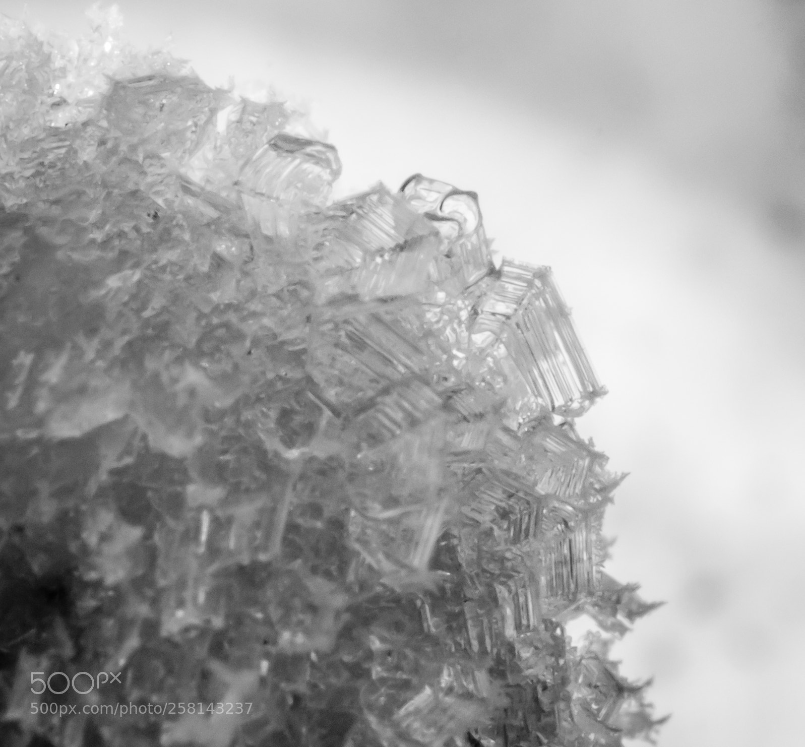 Nikon D90 sample photo. Ice frosting. photography