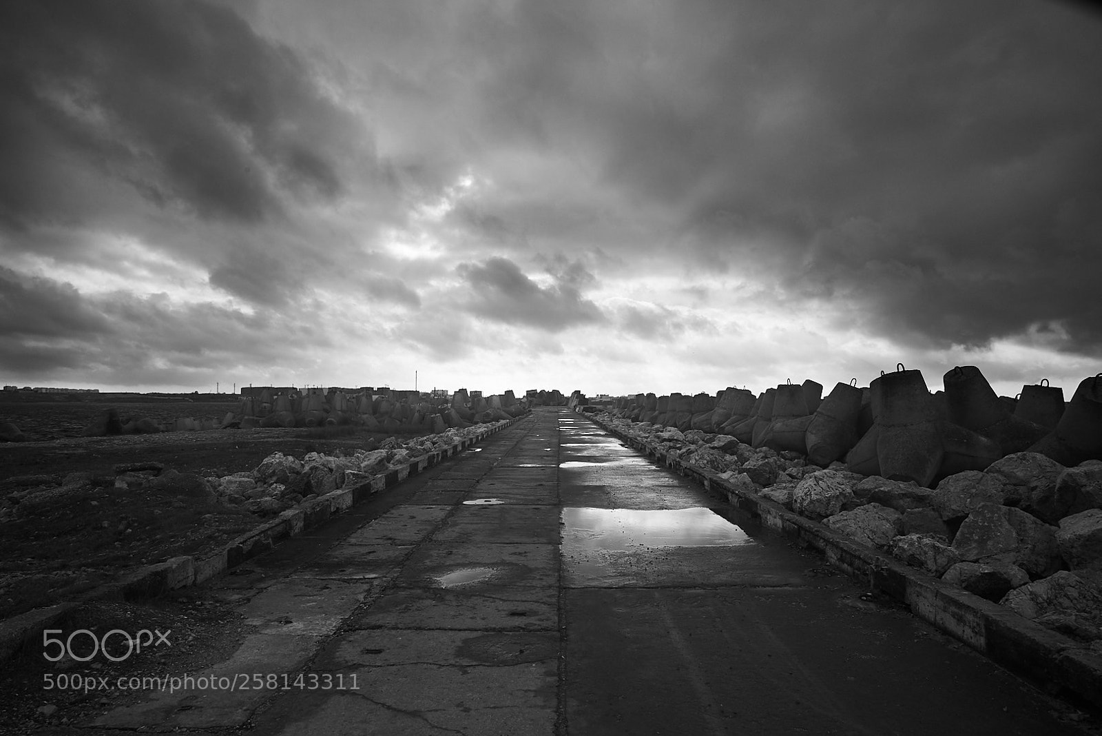 Nikon D610 sample photo. On pier photography