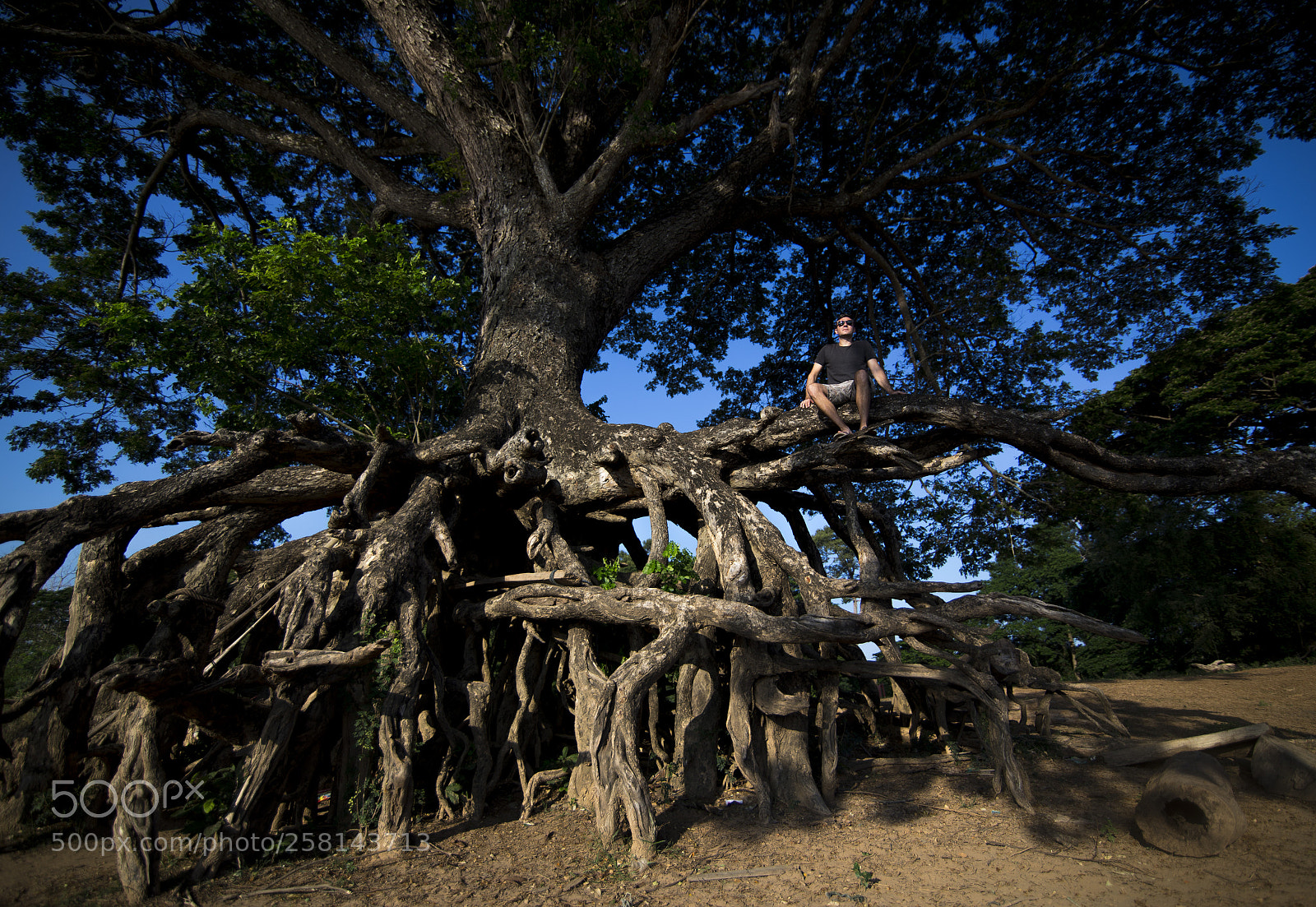 Canon EOS 6D sample photo. Untitled photography