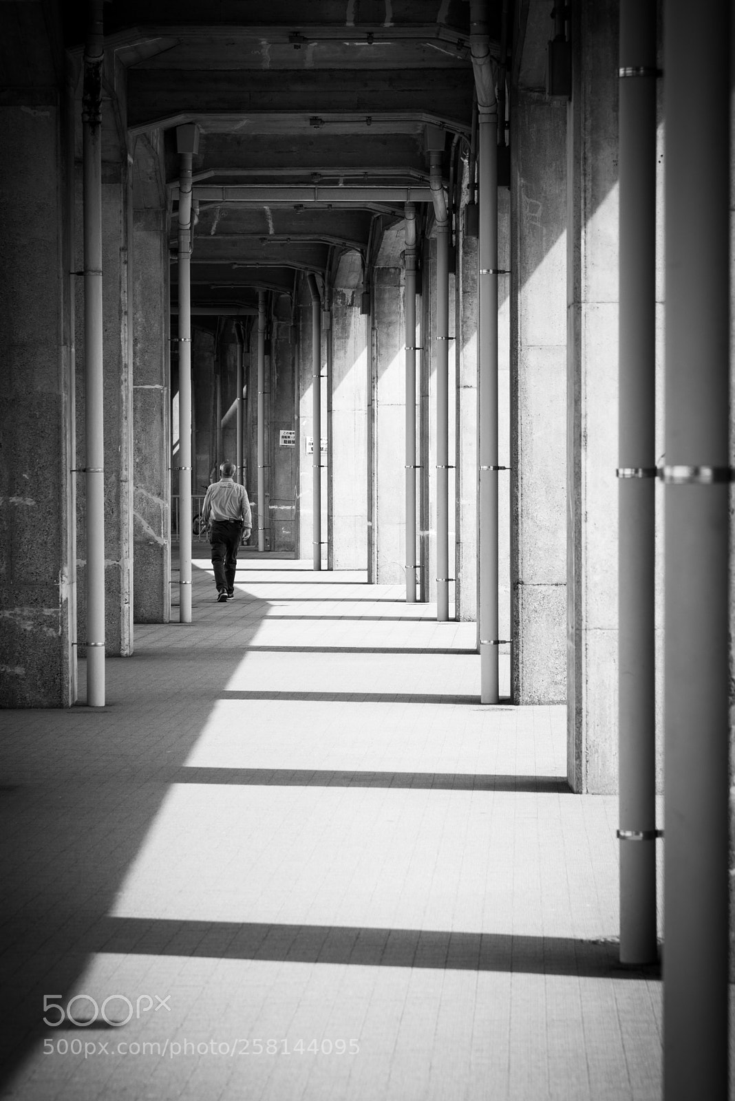 Nikon D800E sample photo. A man photography