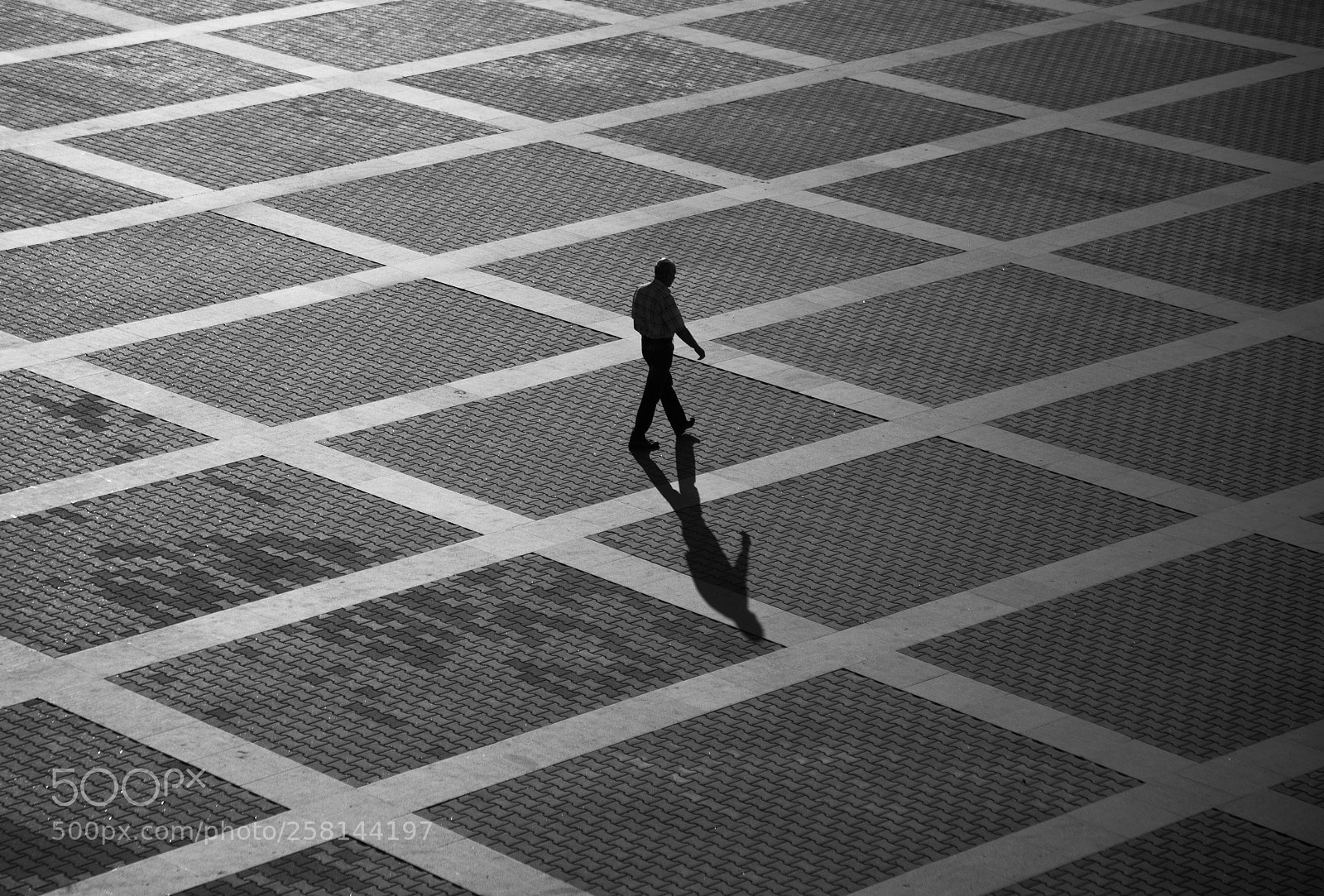 Canon EOS 5D Mark II sample photo. Crossing photography