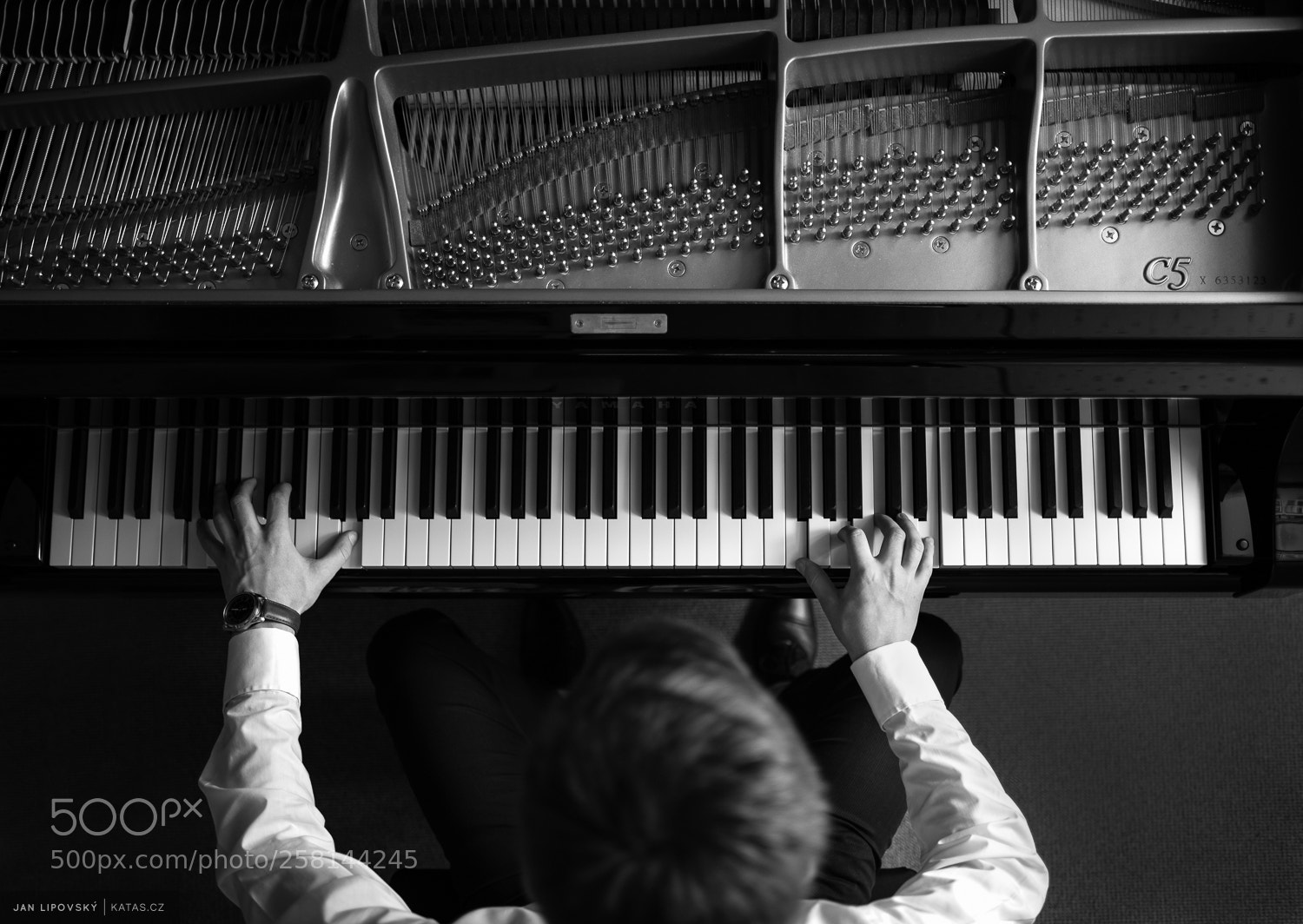 Nikon D750 sample photo. Artists of ostrava lucie photography