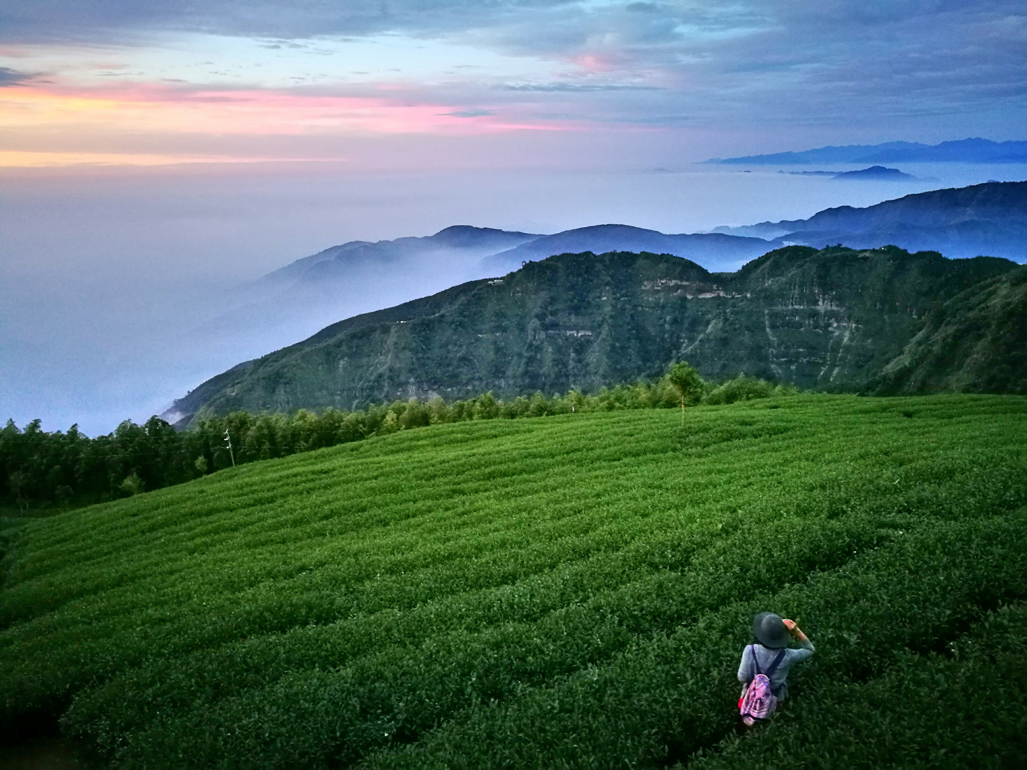 HUAWEI P9 Plus sample photo