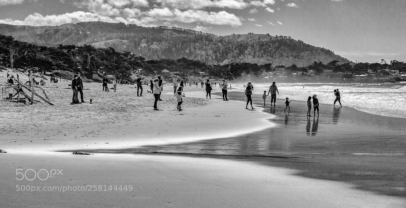 Leica M (Typ 240) sample photo. Carmel 14 photography