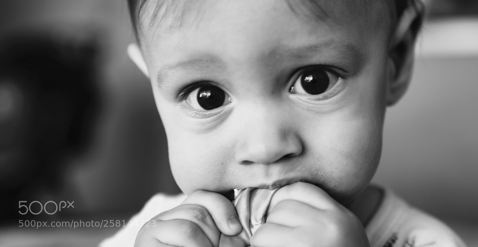 Nikon D810 sample photo. Olivia photography