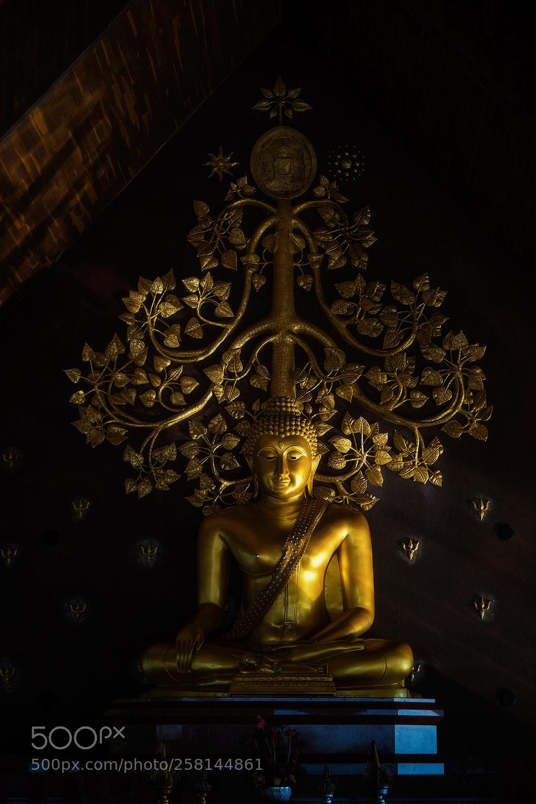 Nikon D810 sample photo. Buddha image, sirindhorn wararam photography