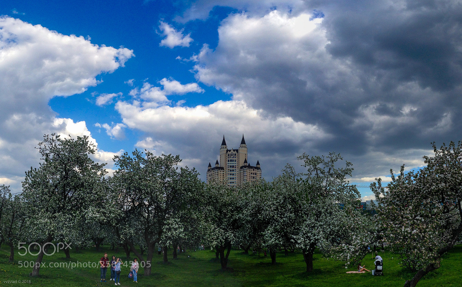 Apple iPhone 5 sample photo. Blooming trees photography
