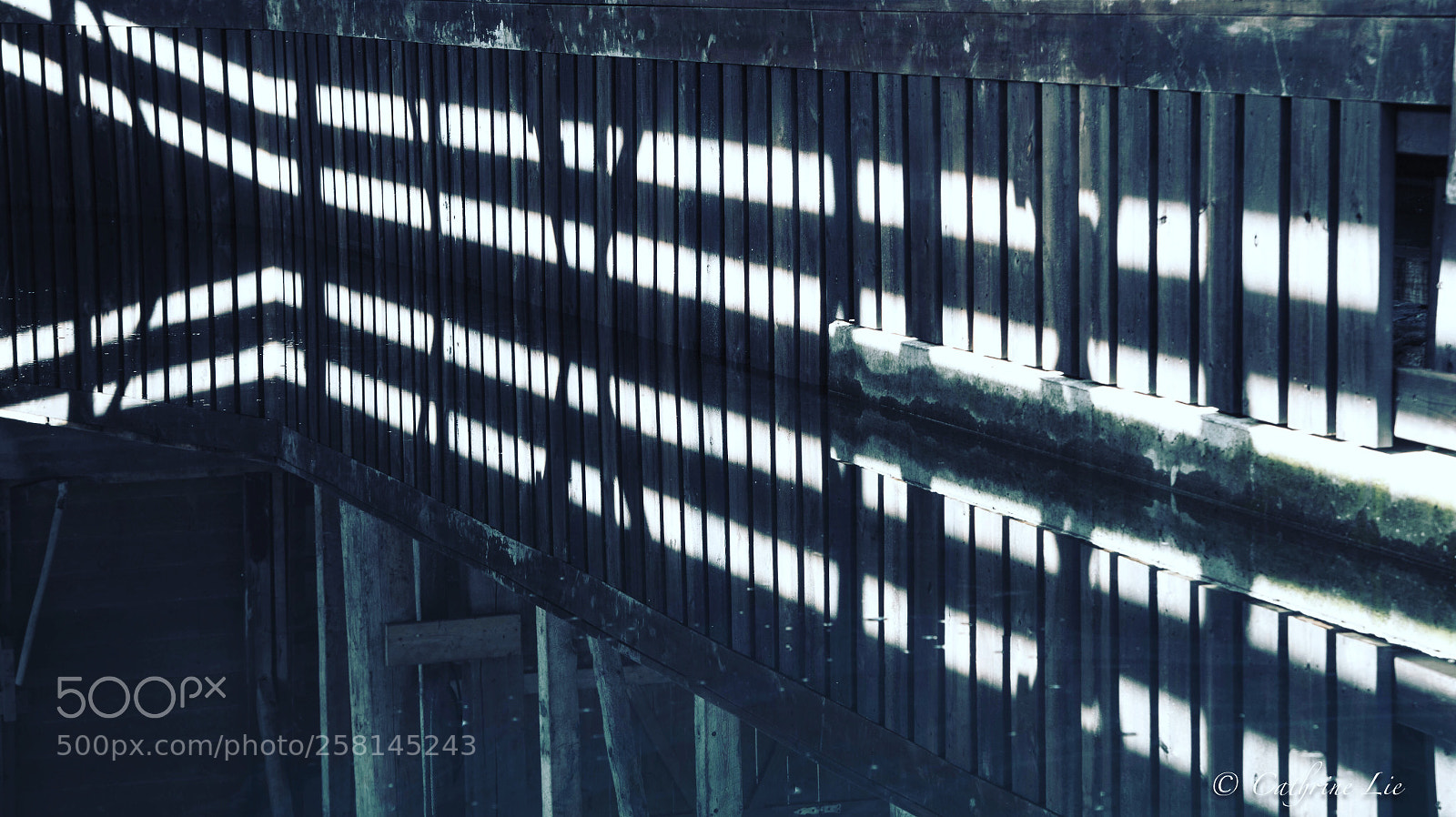 Nikon D810 sample photo. Sunlit reflections  photography