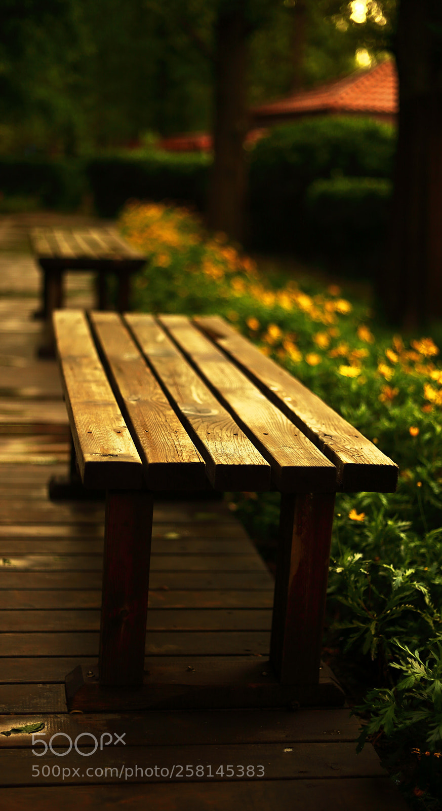 Canon EOS 5D Mark II sample photo. 长凳 photography