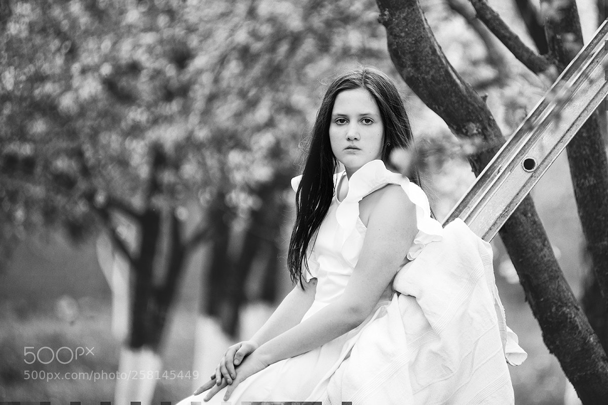 Nikon D750 sample photo. Untitled photography