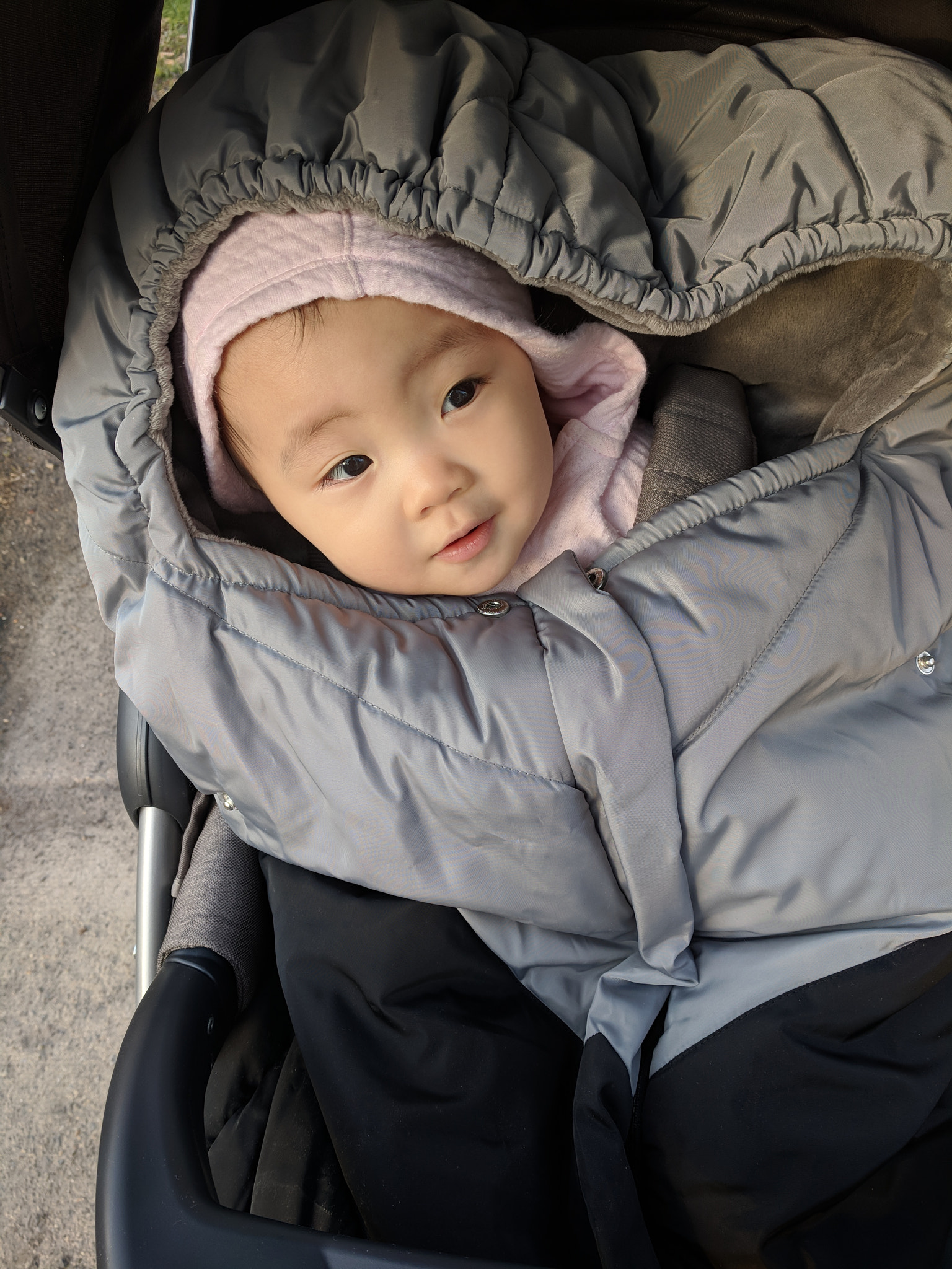 Google Pixel XL sample photo