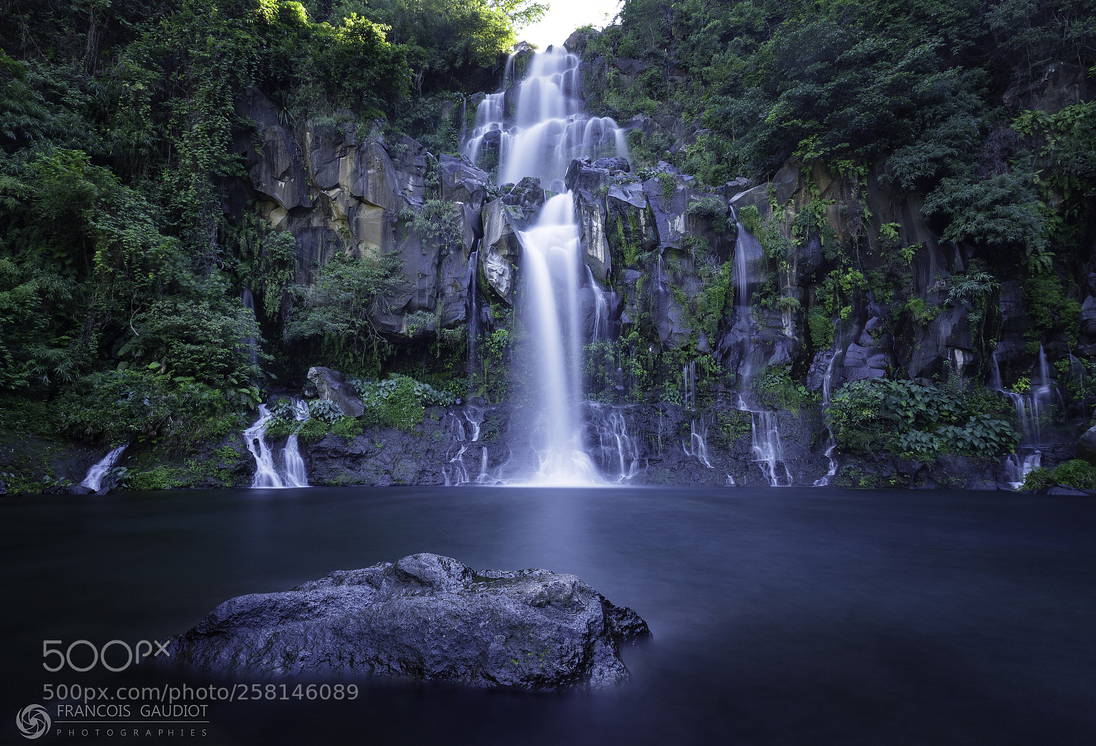Canon EOS 6D Mark II sample photo. Bassin des aigrettes photography