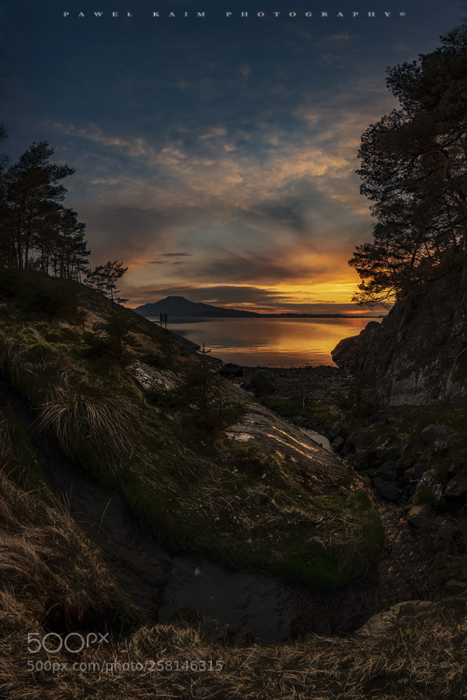 Nikon D5500 sample photo. Sunset photography