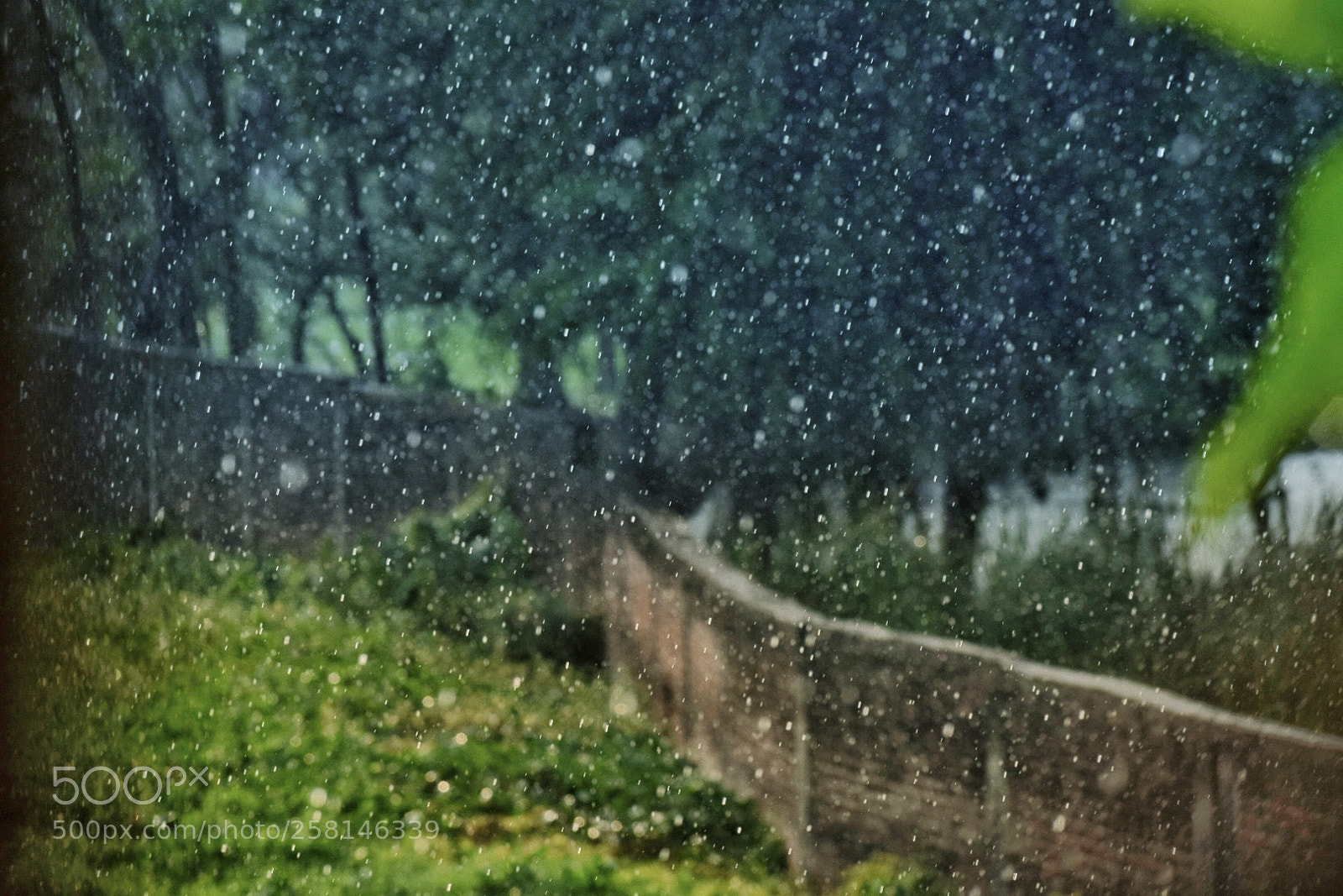 Nikon D5300 sample photo. Untitled photography