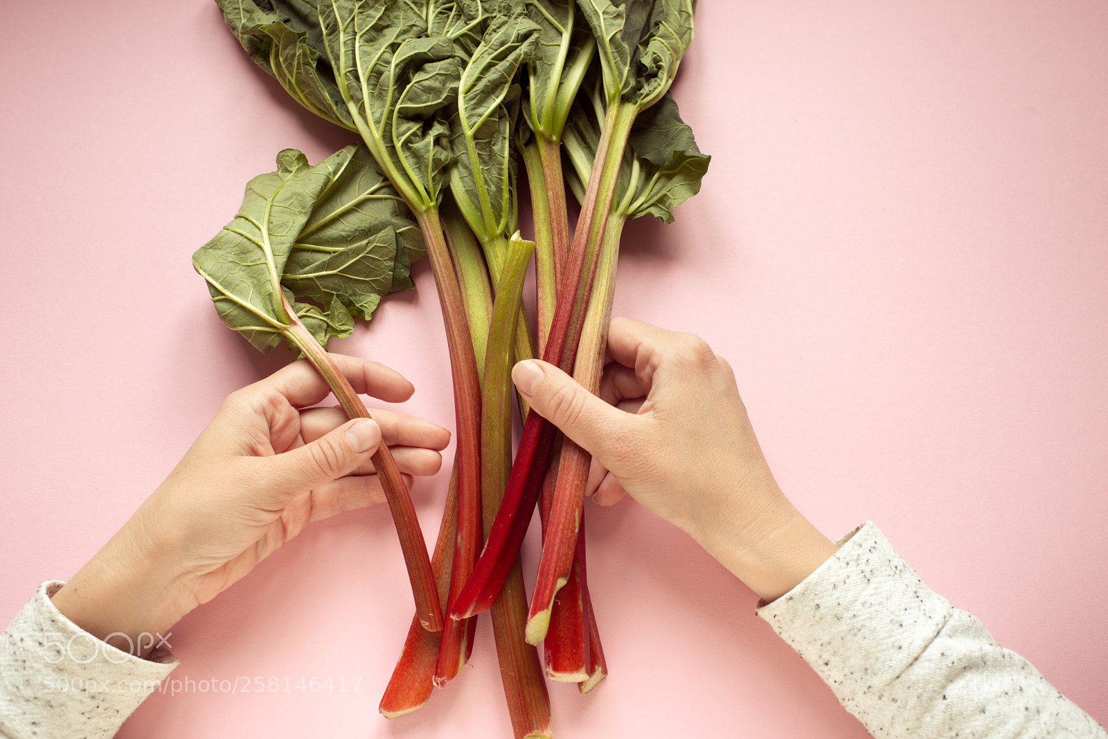 Nikon D800E sample photo. Rhubarb photography