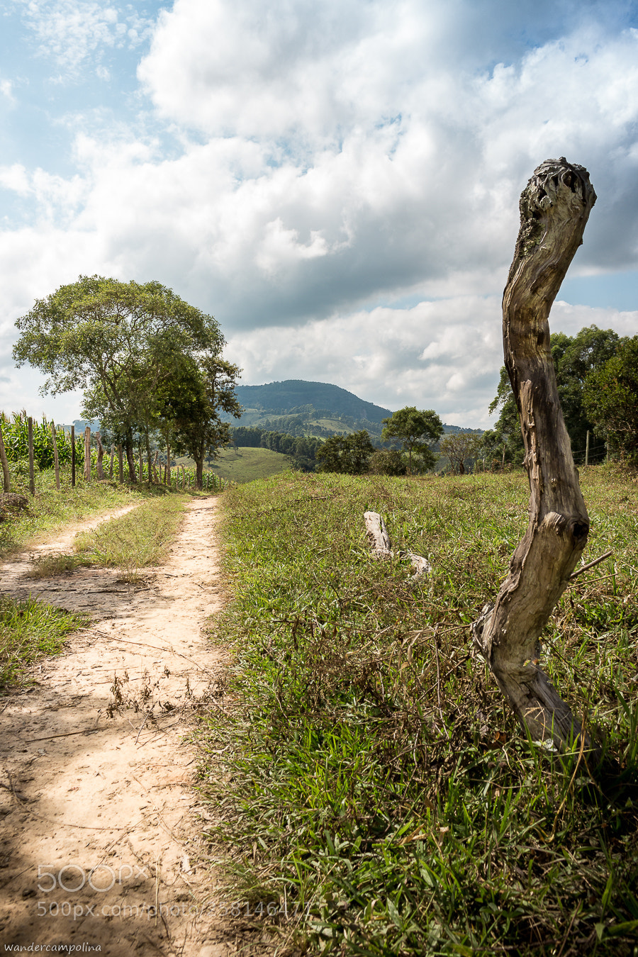 Canon EOS 700D (EOS Rebel T5i / EOS Kiss X7i) sample photo. Up to the mountain photography