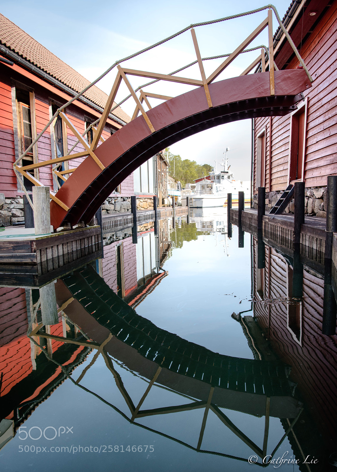 Nikon D810 sample photo. Boat house reflected photography