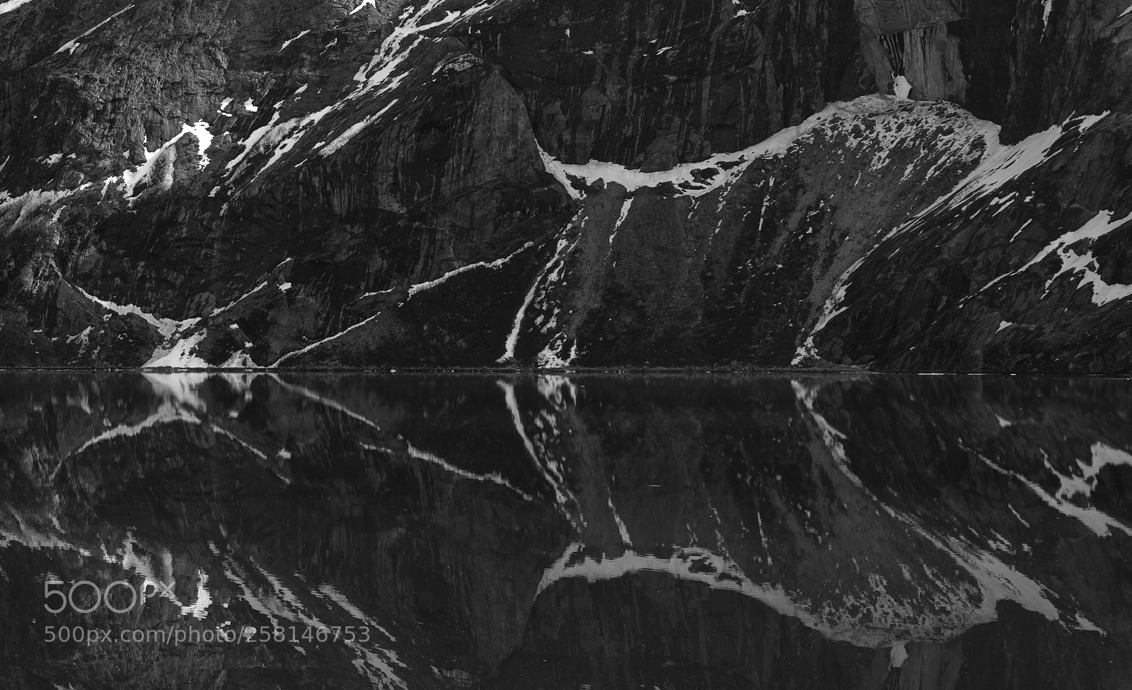Canon EOS 5D Mark IV sample photo. Natural pattern photography