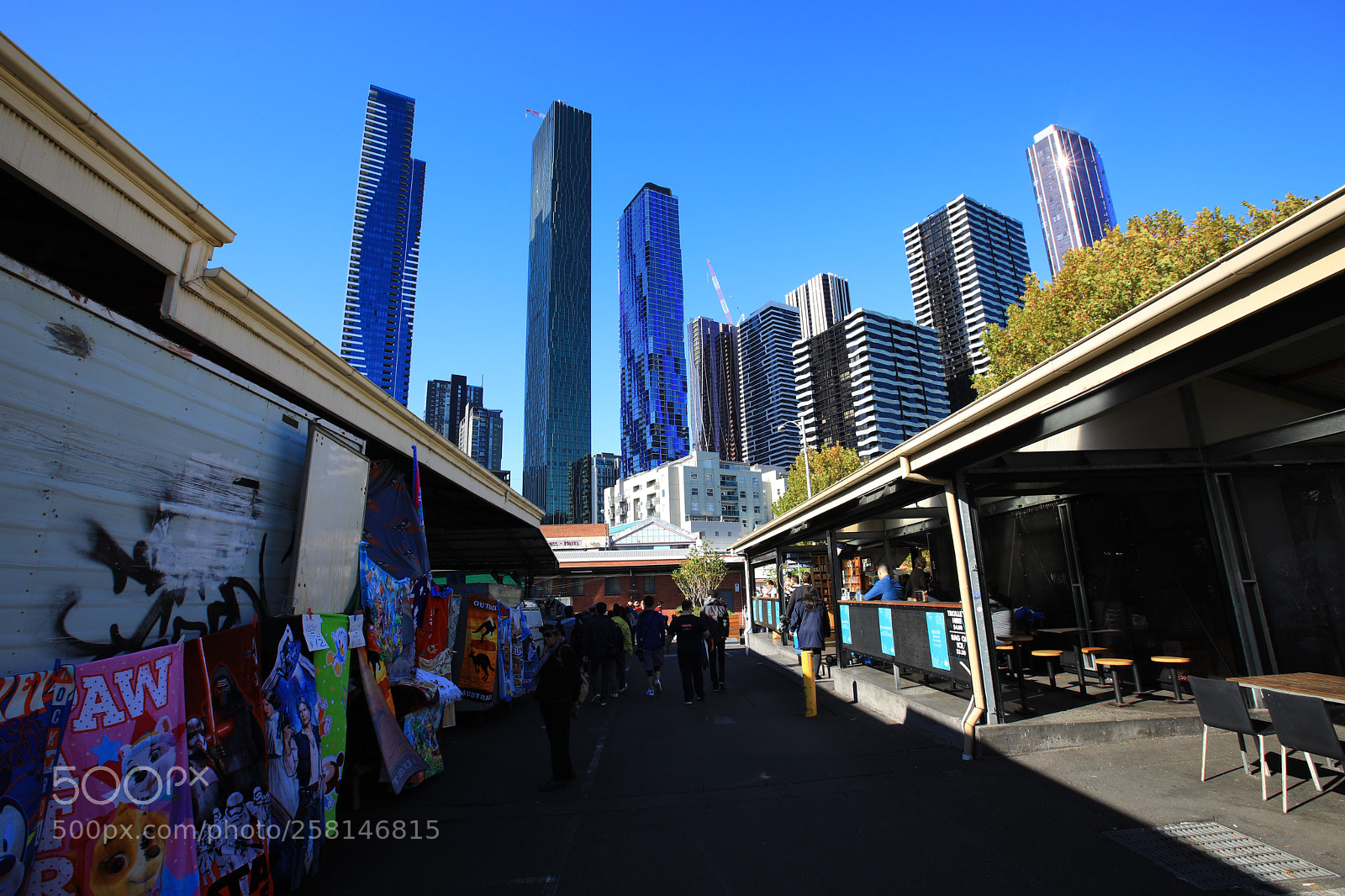 Canon EOS 5D Mark IV sample photo. Untitled photography