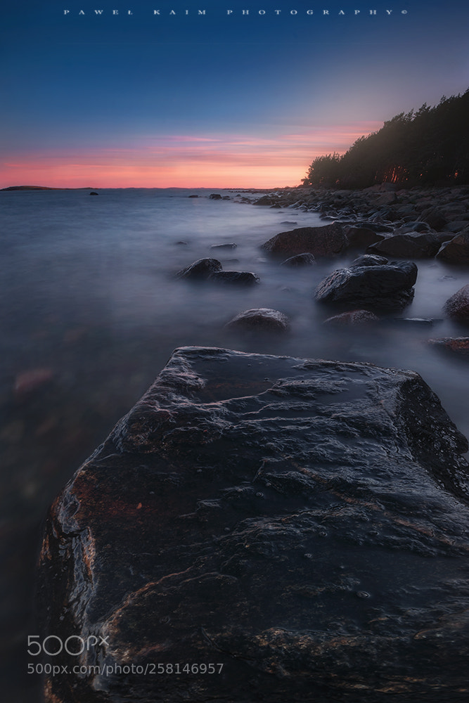 Nikon D5500 sample photo. Sunset photography