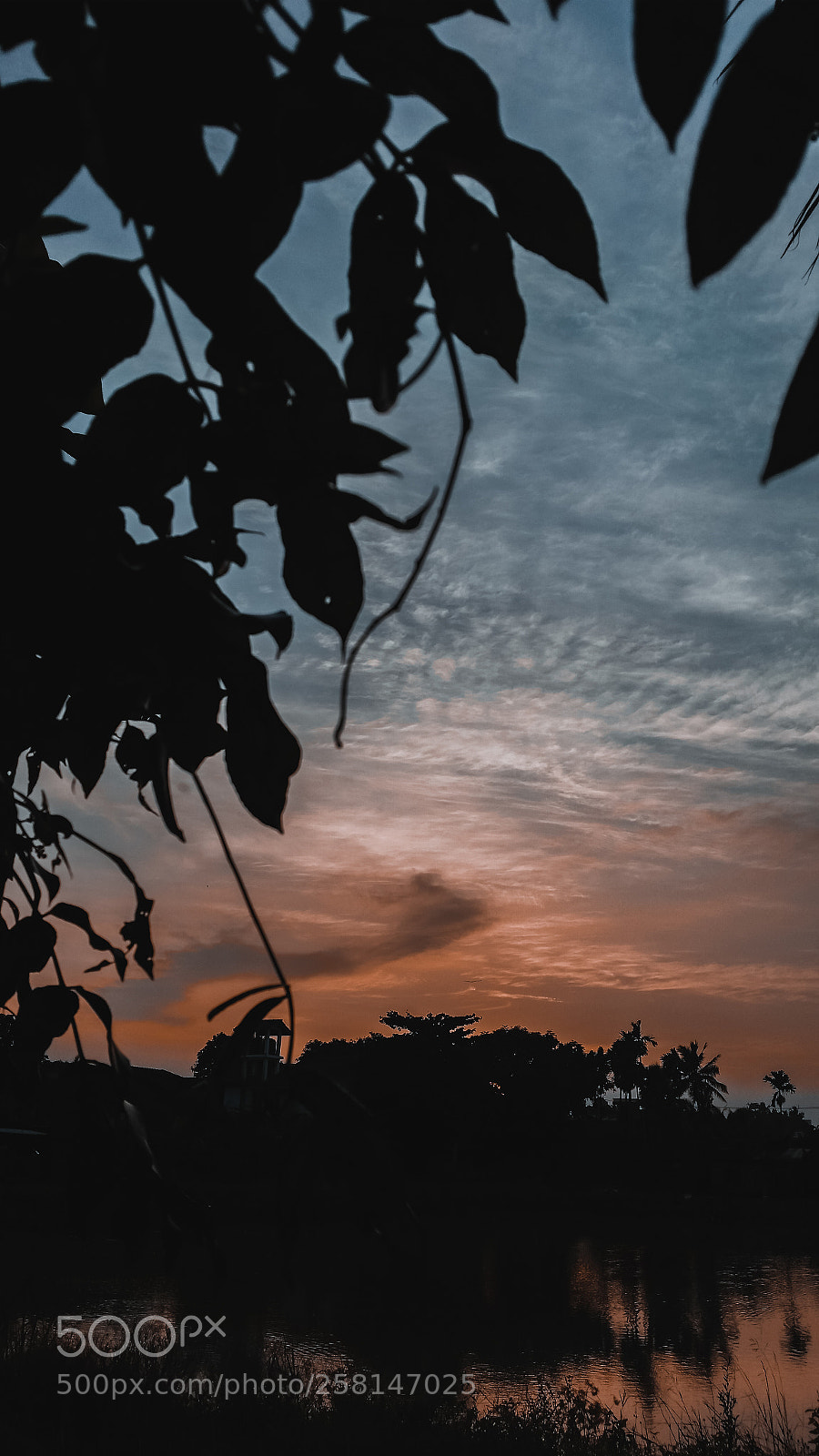 Samsung Galaxy S5 sample photo. Colour the sky. photography
