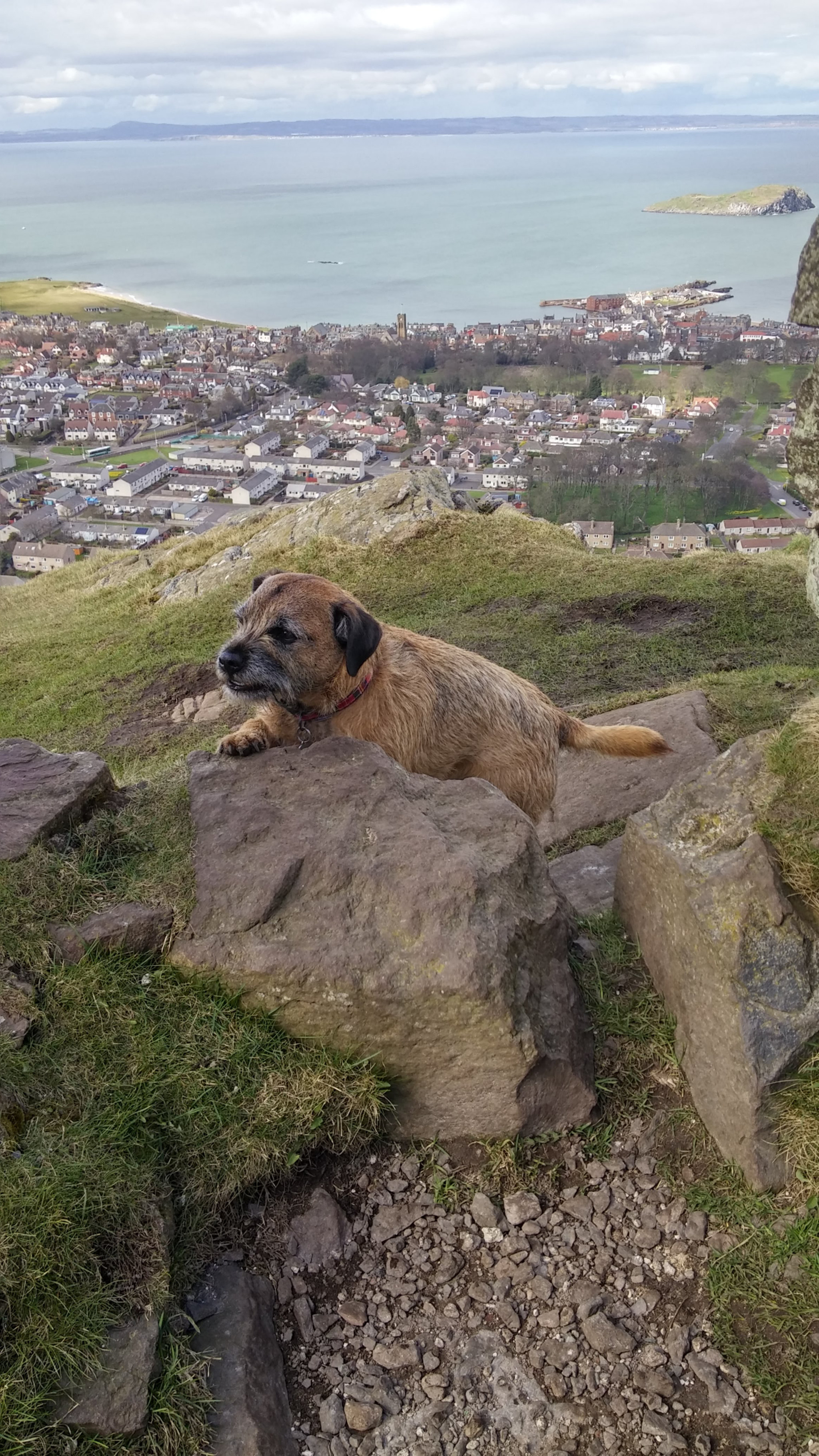 LG G3 sample photo. Mungo's law photography