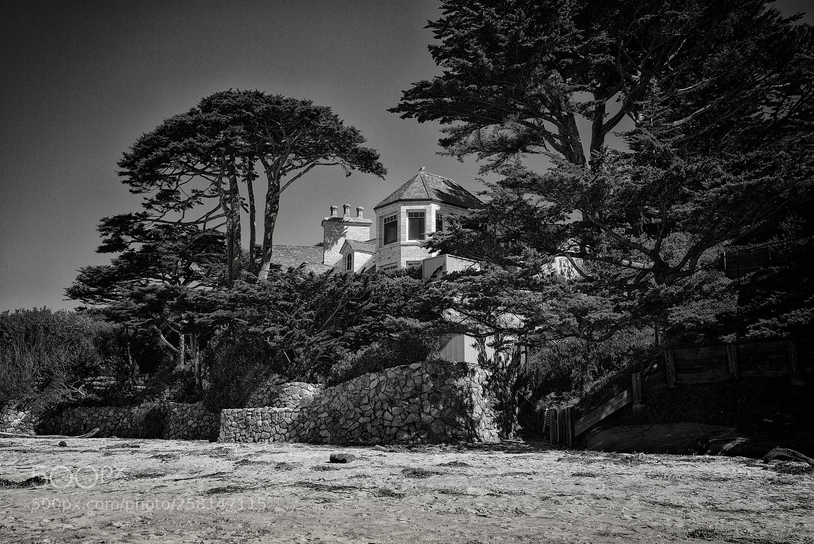 Leica M (Typ 240) sample photo. Carmel 10 photography