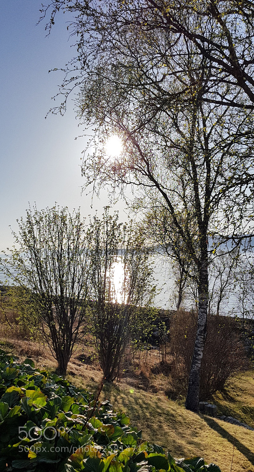 Samsung Galaxy S8 sample photo. Evening sun photography