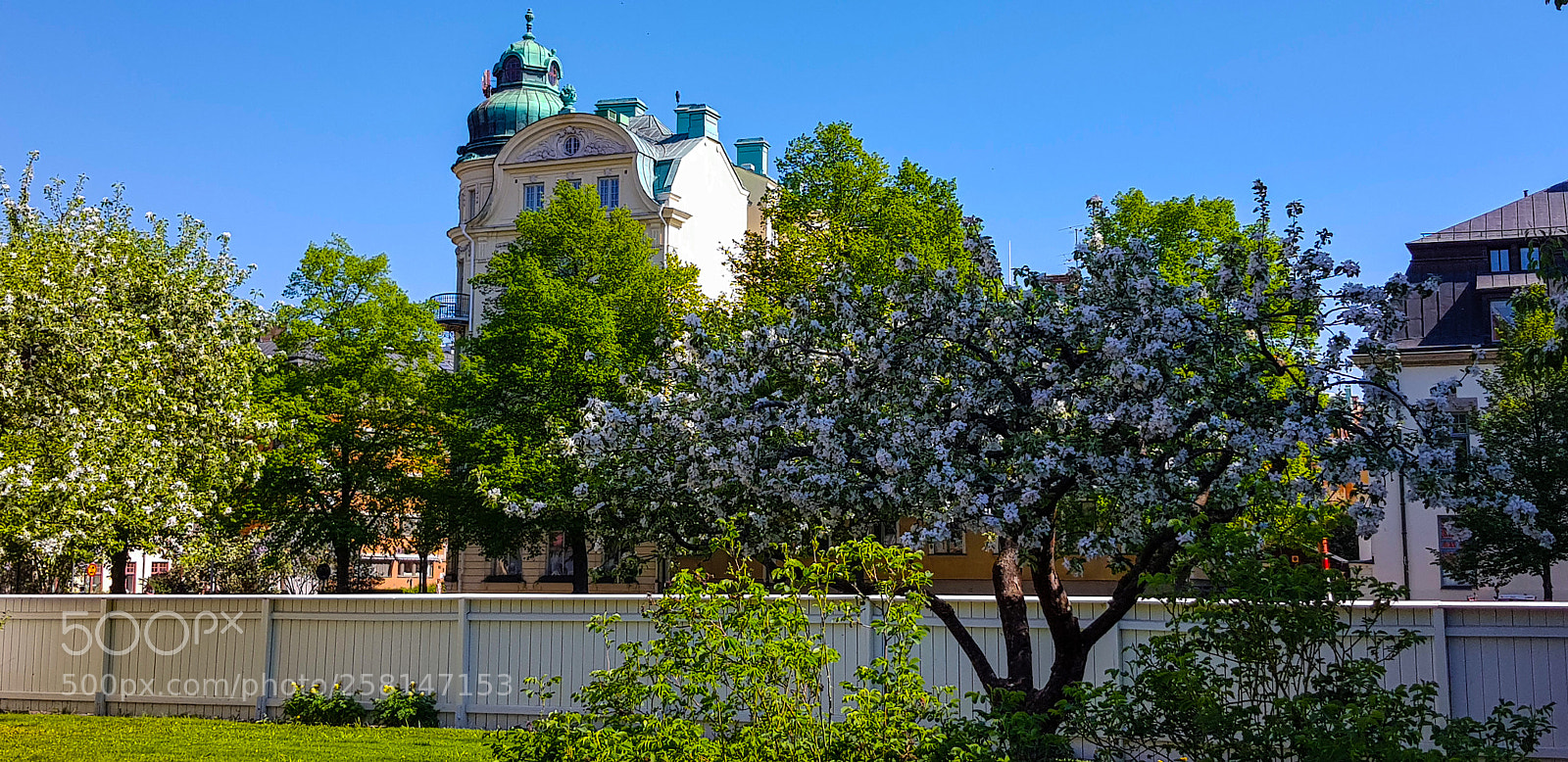 Samsung Galaxy S8 sample photo. The garden and the photography