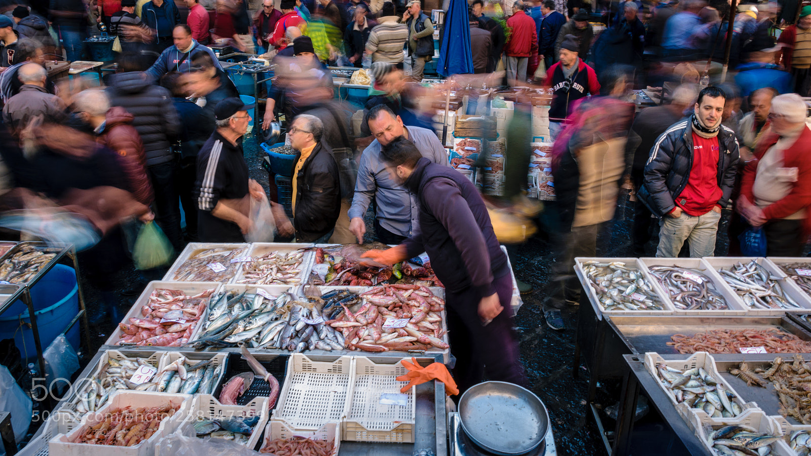 Nikon D5300 sample photo. Bargaining at the fish photography