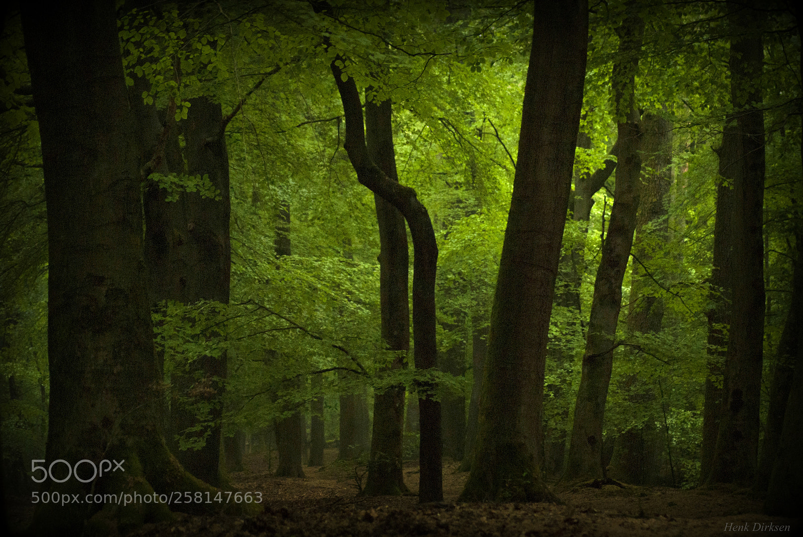 Nikon D200 sample photo. Groen licht photography