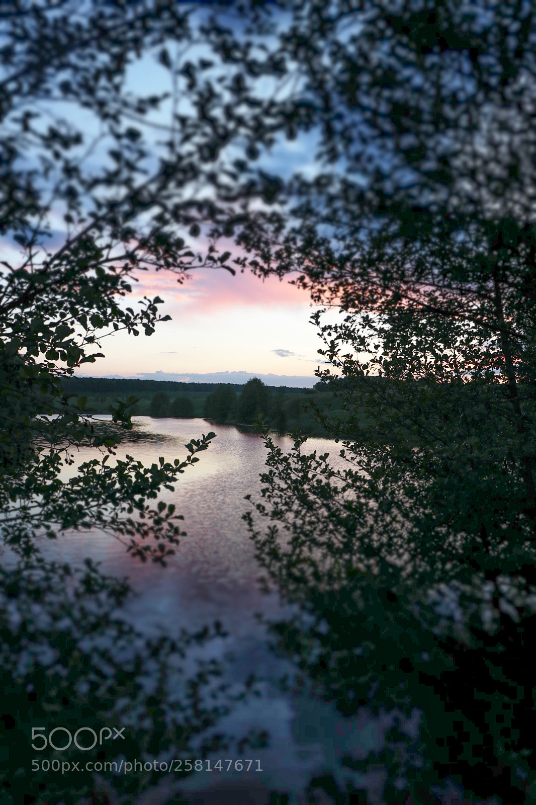Canon EOS 80D sample photo. On the river... photography