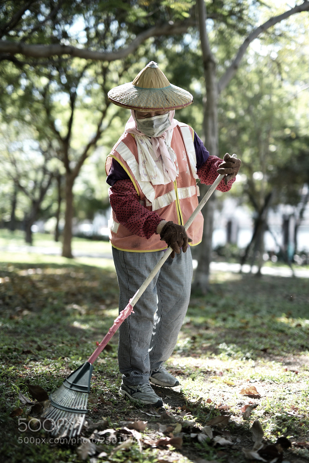 Nikon D750 sample photo. The cleaner photography