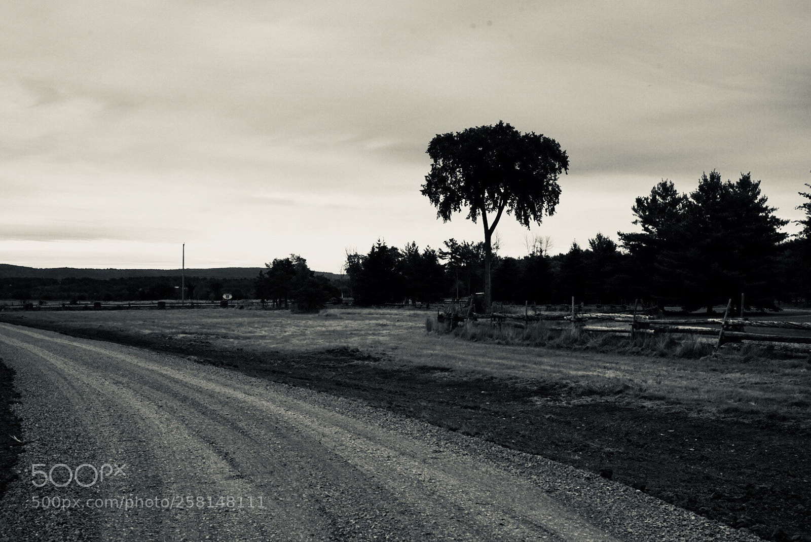 Sony a7 II sample photo. Morning has broken photography