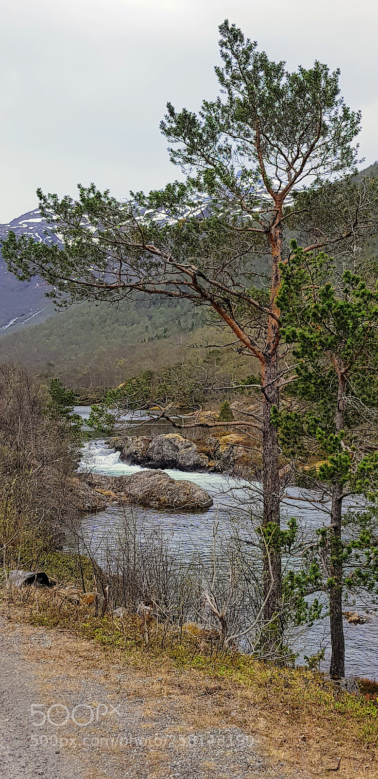 Samsung Galaxy S8 sample photo. By the river r photography