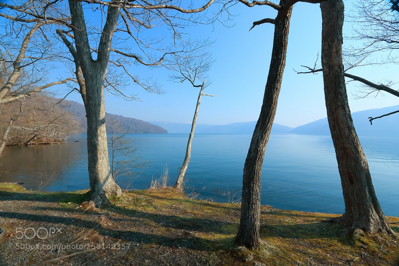 Canon EOS 70D sample photo. Transparent blue iv photography