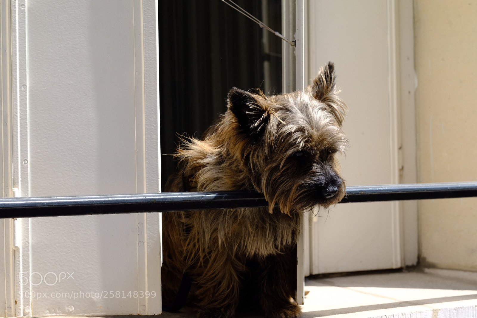 Fujifilm X-T20 sample photo. Untitled photography